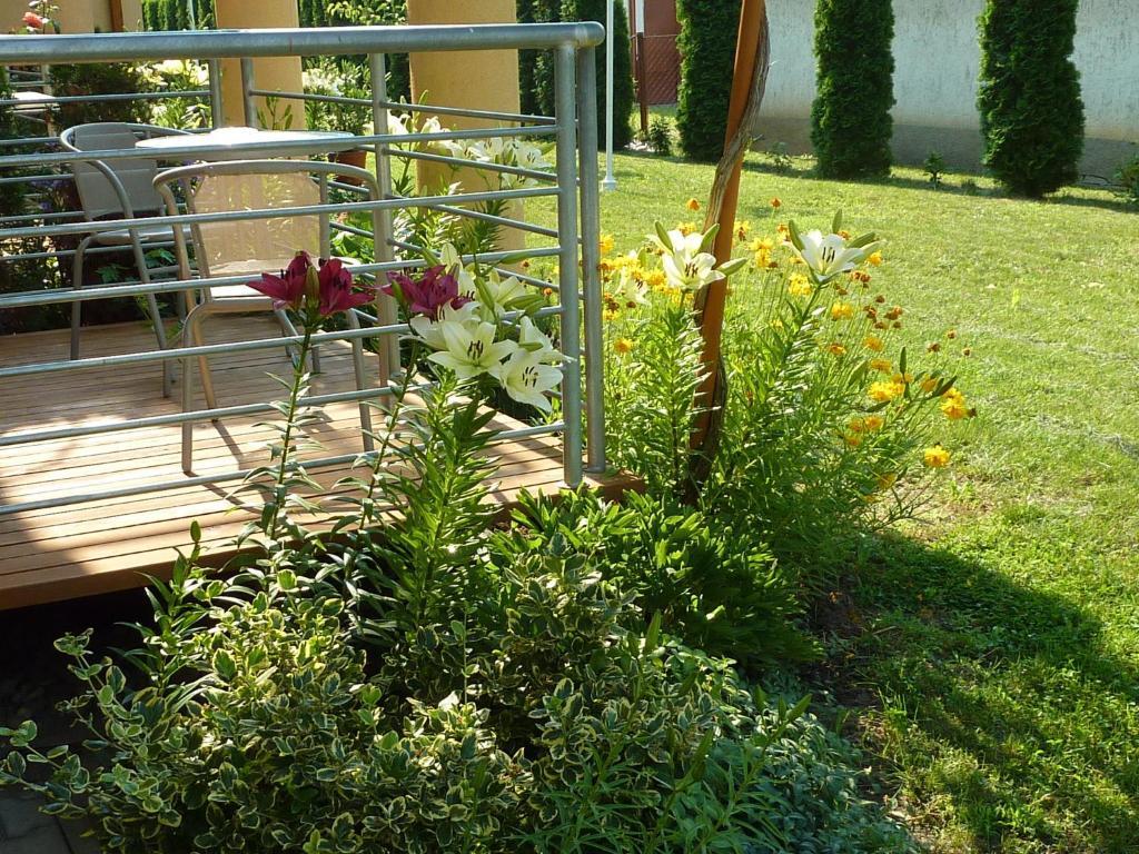 Luca Apartment Zalakaros
